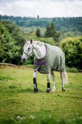 Horseware Amigo Hero Ripstop Lite 0g Bramble/Winterberry & Taupe