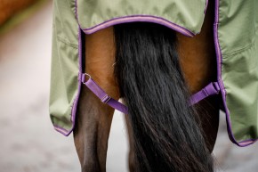 Horseware Amigo Hero Ripstop Lite 0g Bramble/Winterberry & Taupe